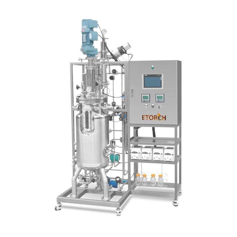 Fermentador / Bioreactor (GMP)